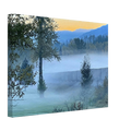 0dc8f256-207d-4ad2-91f3-6f9aad0483e1