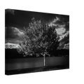 3bb20f06-c181-4da0-9248-de34be6016c9