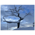67eb4e6e-824e-419d-8770-4f0ad47a829b