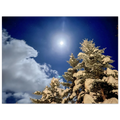 7e589615-c0fc-43d0-b261-58aea84b308c