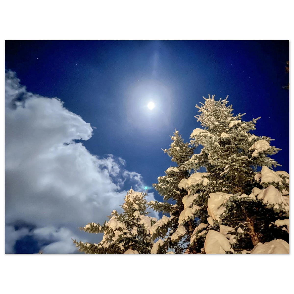 7e589615-c0fc-43d0-b261-58aea84b308c