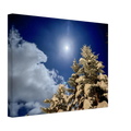 b9d08d8b-75f0-4aab-adf3-0945e3194b12