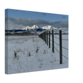 c29b56e5-802d-4b66-afbc-bf81d4eb307e